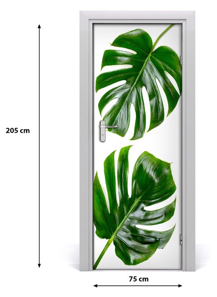 Fototapeta na dvere Monstera 75x205 cm
