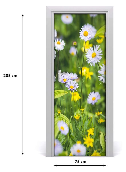 Fototapeta na dvere Sedmikárska 75x205 cm