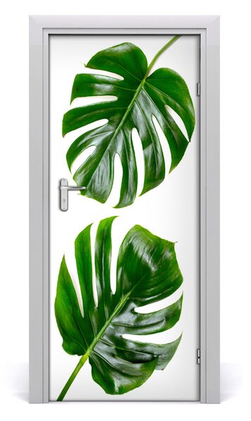 Fototapeta na dvere Monstera 85x205 cm