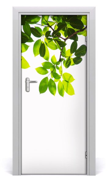 Fototapeta na dvere zelené lístie 85x205 cm