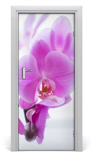 Fototapeta na dvere ružová orchidea 85x205 cm