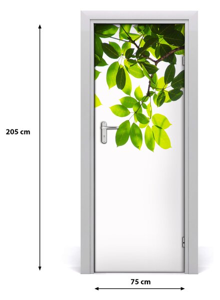 Fototapeta na dvere zelené lístie 75x205 cm