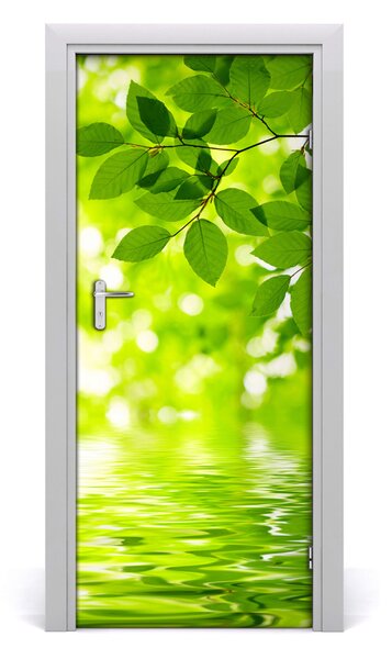 Fototapeta na dvere zelené lístie 85x205 cm