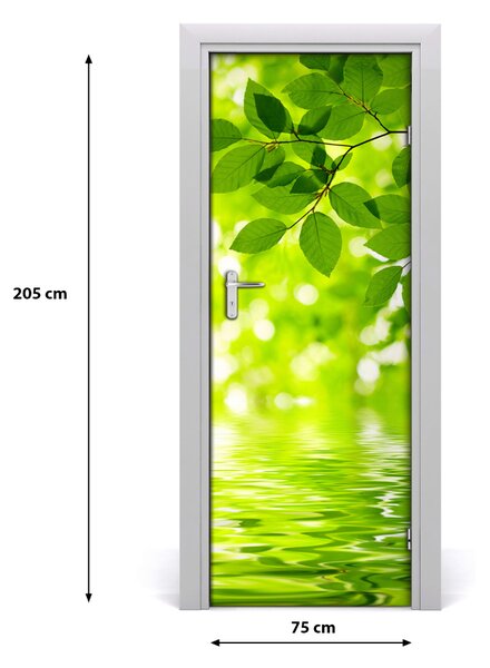 Fototapeta na dvere zelené lístie 75x205 cm