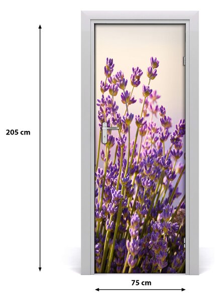 Fototapeta na dvere levanduľa 75x205 cm