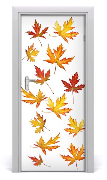 Fototapeta na dvere jesenné kvety 85x205 cm