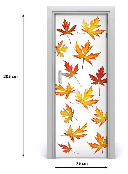 Fototapeta na dvere jesenné kvety 75x205 cm