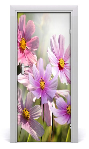 Fototapeta samolepiace poľné kvety 85x205 cm