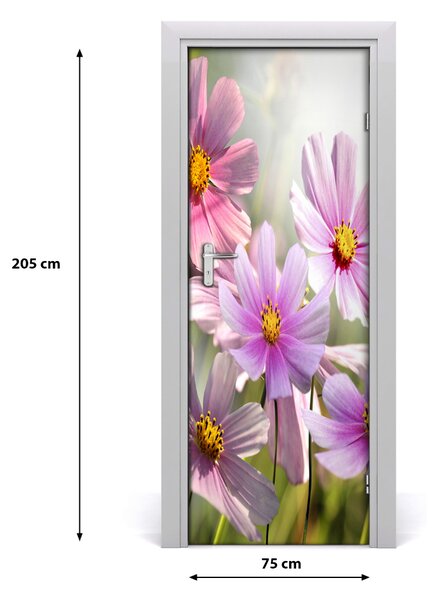 Fototapeta samolepiace poľné kvety 75x205 cm