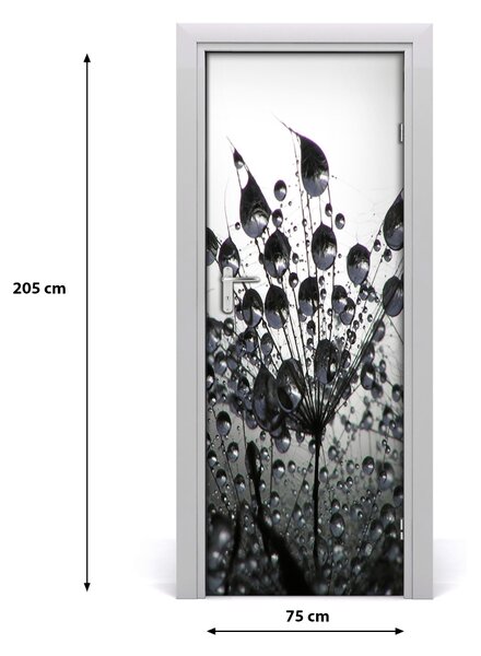 Fototapeta samolepiace semená púpavy 75x205 cm