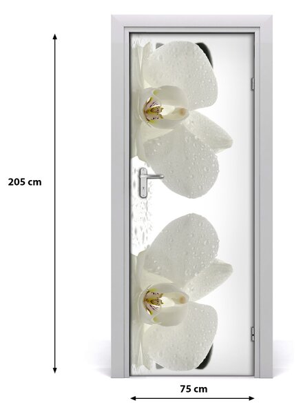 Fototapeta samolepiace Orchidea a kamene 75x205 cm