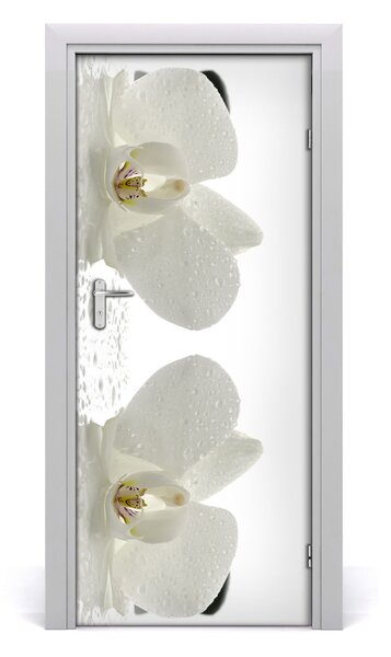 Fototapeta samolepiace Orchidea a kamene 85x205 cm