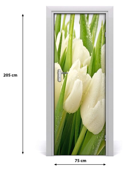 Fototapeta samolepiace biele tulipány 75x205 cm