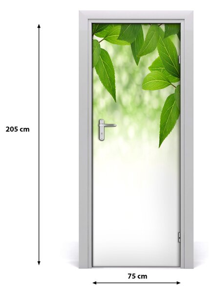 Fototapeta samolepiace zelené lístie 75x205 cm
