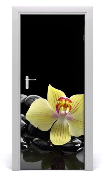 Fototapeta samolepiace Orchidea a kamene 85x205 cm