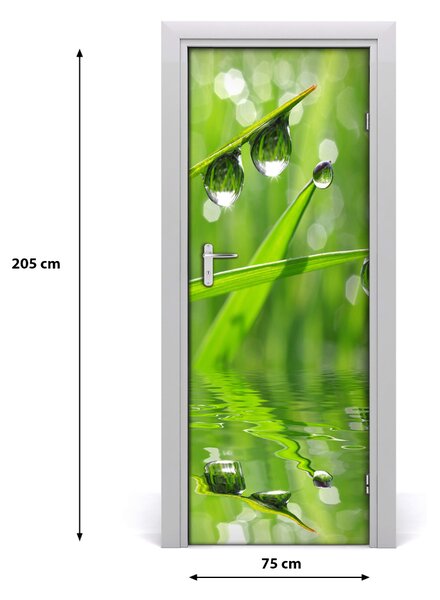 Fototapeta samolepiace tráva 75x205 cm