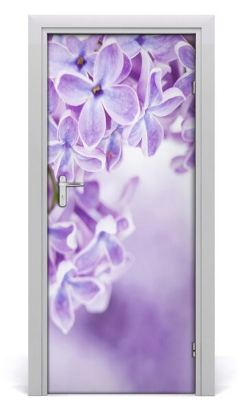 Fototapeta samolepiace kvety bazy 85x205 cm