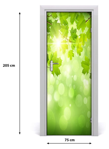 Fototapeta samolepiace zelené lístie 75x205 cm