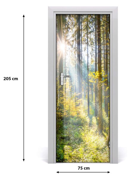Fototapeta na dvere slnka v lese 75x205 cm