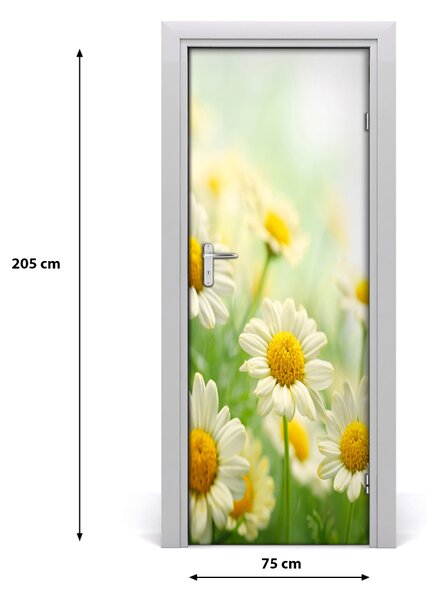 Fototapeta samolepiace Sedmikárska 75x205 cm