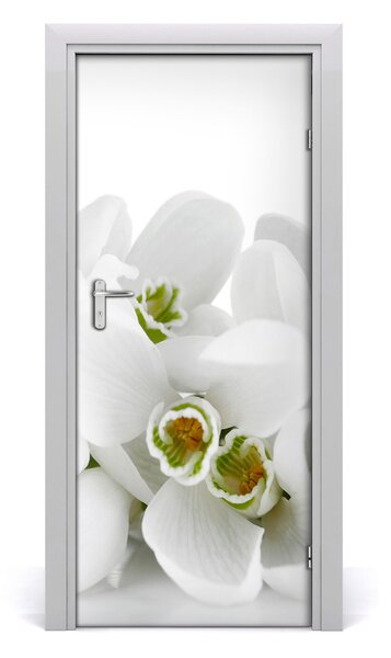 Fototapeta samolepiace biele snežienky 85x205 cm