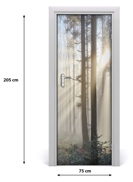 Fototapeta na dvere hmla v lese 75x205 cm