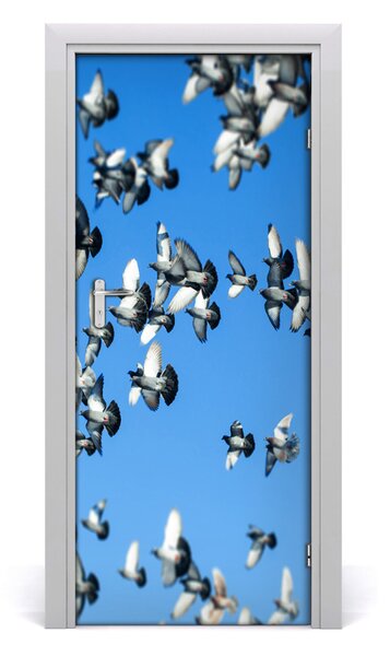 Fototapeta na dvere holuby na nebi 85x205 cm