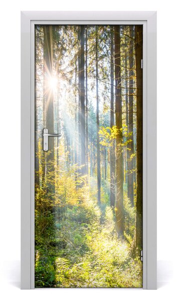 Fototapeta na dvere slnka v lese 85x205 cm