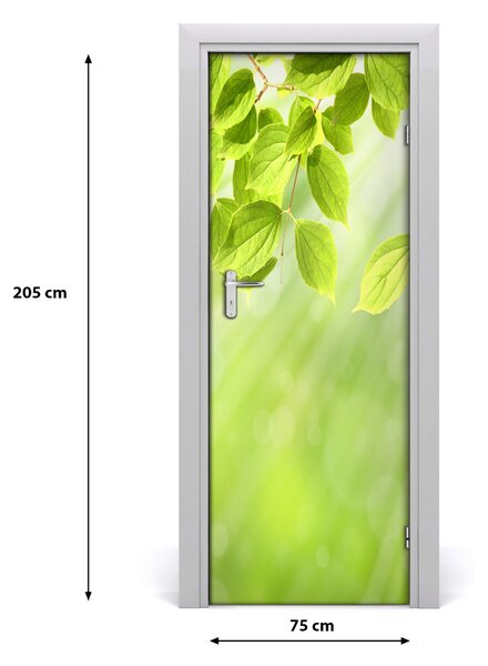 Fototapeta na dvere zeleňou listy 75x205 cm