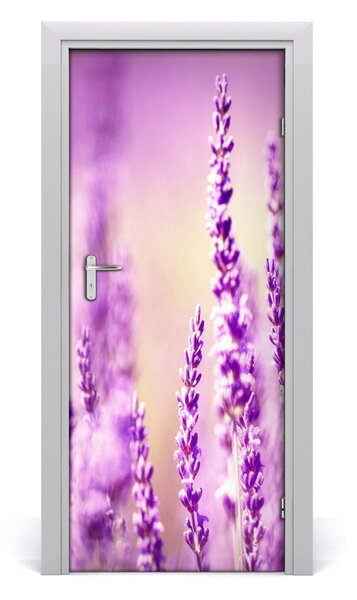 Fototapeta samolepiace na dvere levanduľa 85x205 cm