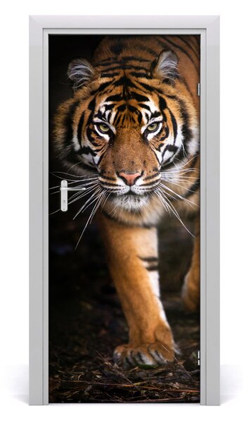 Fototapeta samolepiace na dvere tiger 85x205 cm