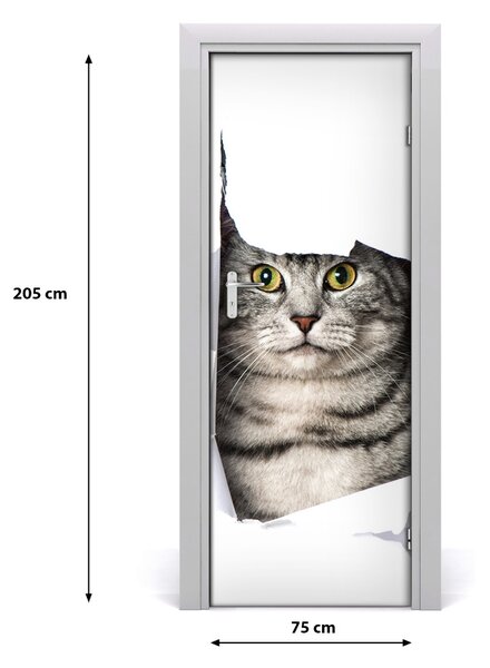 Fototapeta samolepiace na dvere mačka v diere 75x205 cm