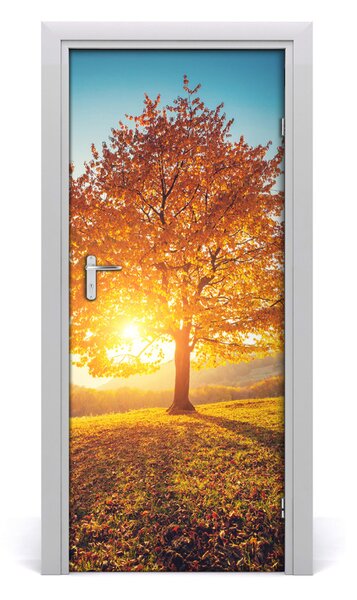 Fototapeta samolepiace na dvere jeseň drevo 85x205 cm