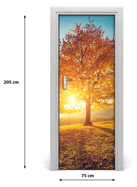 Fototapeta samolepiace na dvere jeseň drevo 75x205 cm