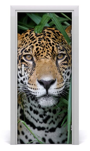 Fototapeta samolepiace na dvere Amazónie jaguár 85x205 cm