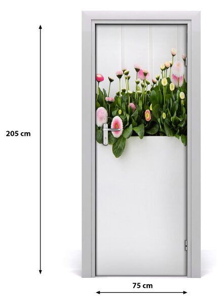 Fototapeta samolepiace ružové sedmokrásky 75x205 cm