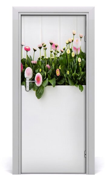 Fototapeta samolepiace ružové sedmokrásky 85x205 cm