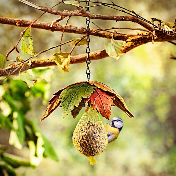 Záves na kŕmenie pre vtáky Jesenné listy