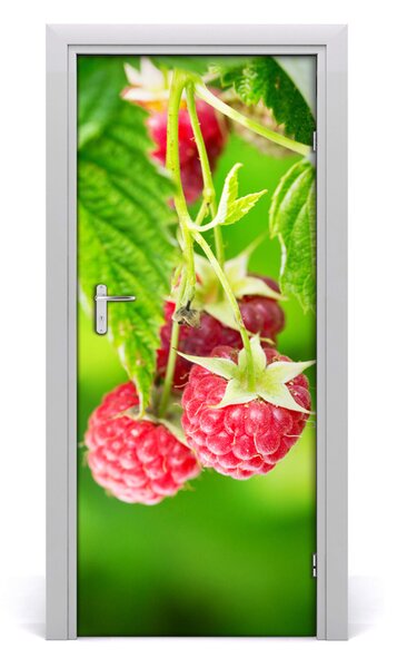 Fototapeta na dvere samolepiace maliny 85x205 cm