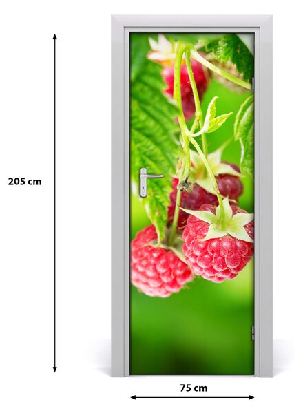 Fototapeta na dvere samolepiace maliny 75x205 cm