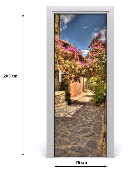 Fototapeta samolepiace dvere francúzskej uličky 75x205 cm
