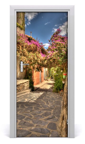 Fototapeta samolepiace dvere francúzskej uličky 85x205 cm