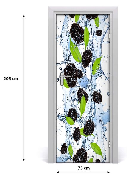 Fototapeta na dvere samolepiace ostružina a voda 75x205 cm
