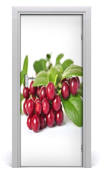 Fototapeta na dvere do domu samolepiace čučoriedka 85x205 cm