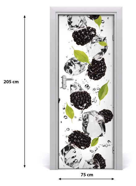 Fototapeta na dvere samolepiace ostružina a voda 75x205 cm