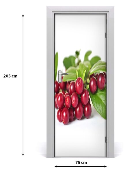 Fototapeta na dvere do domu samolepiace čučoriedka 75x205 cm