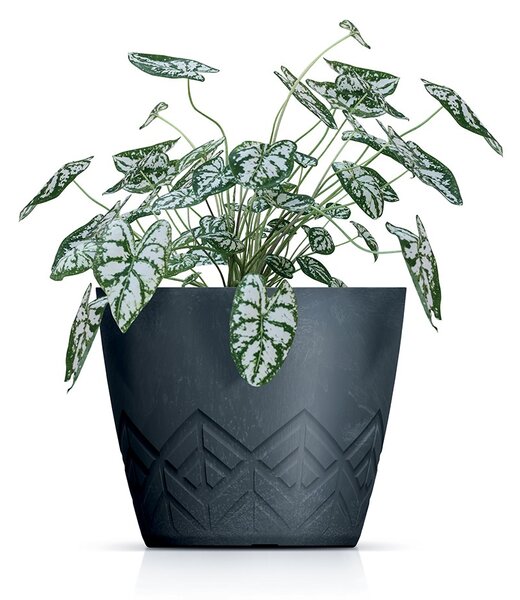 Prosperplast Kvetináč Areca biely, variant 29,5 cm