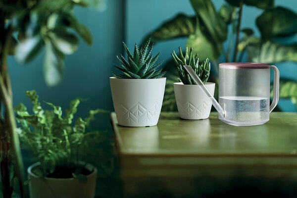 Prosperplast Kvetináč Areca biely, variant 29,5 cm