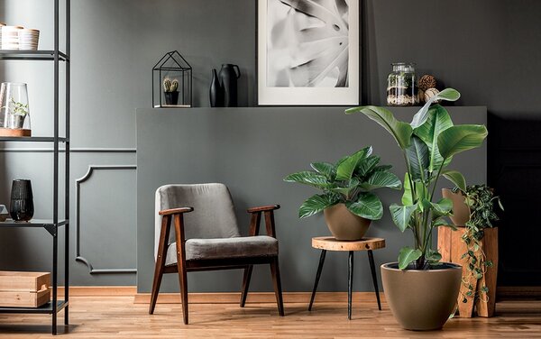 Prosperplast Kvetináč HEOSE ECO DREVO antracitový, variant dbhem400w