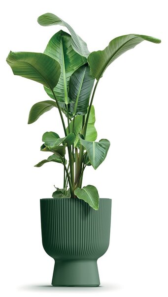 Prosperplast Kvetináč MILLA IV tmavozelený, variant 23,9 cm